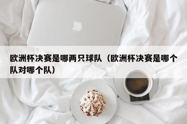欧洲杯决赛是哪两只球队（欧洲杯决赛是哪个队对哪个队）