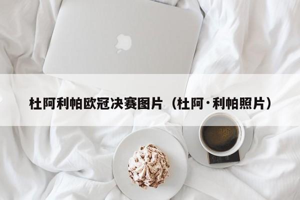 杜阿利帕欧冠决赛图片（杜阿·利帕照片）