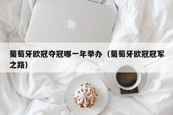 葡萄牙欧冠夺冠哪一年举办（葡萄牙欧冠冠军之路）