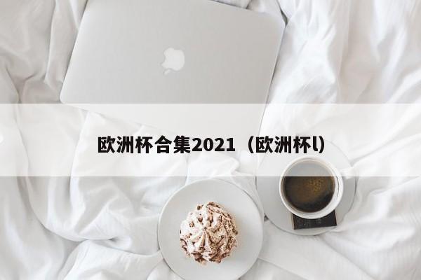 欧洲杯合集2021（欧洲杯l）