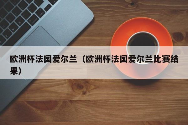 欧洲杯法国爱尔兰（欧洲杯法国爱尔兰比赛结果）