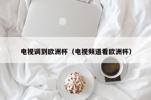 电视调到欧洲杯（电视频道看欧洲杯）