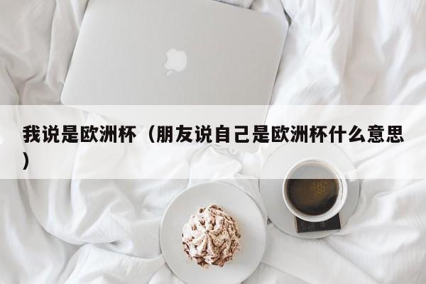 我说是欧洲杯（朋友说自己是欧洲杯什么意思）