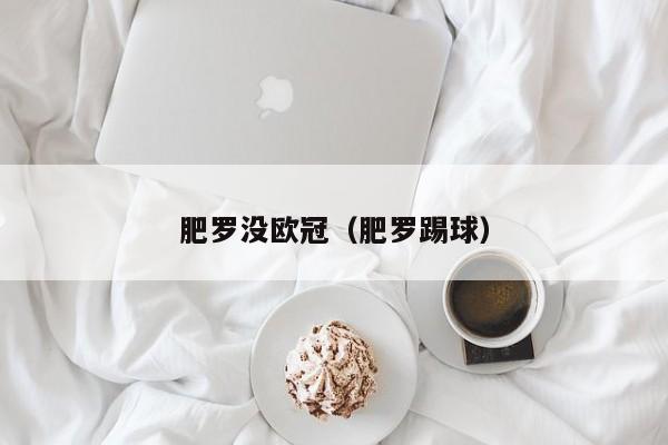 肥罗没欧冠（肥罗踢球）
