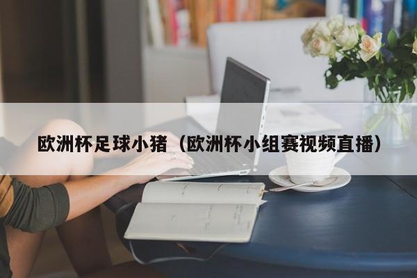 欧洲杯足球小猪（欧洲杯小组赛视频直播）