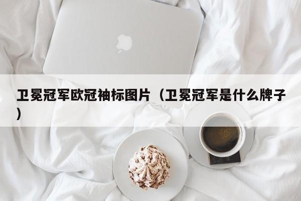 卫冕冠军欧冠袖标图片（卫冕冠军是什么牌子）