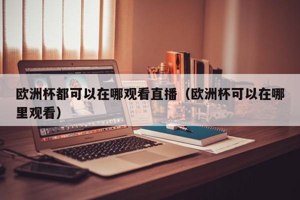 欧洲杯都可以在哪观看直播（欧洲杯可以在哪里观看）