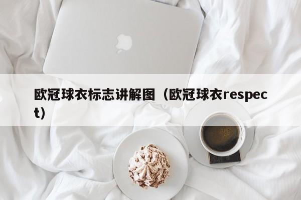 欧冠球衣标志讲解图（欧冠球衣respect）