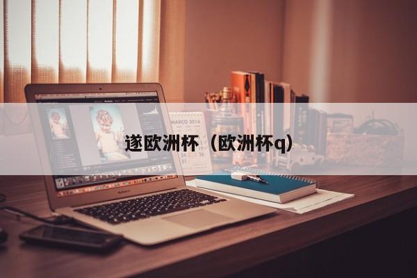 遂欧洲杯（欧洲杯q）