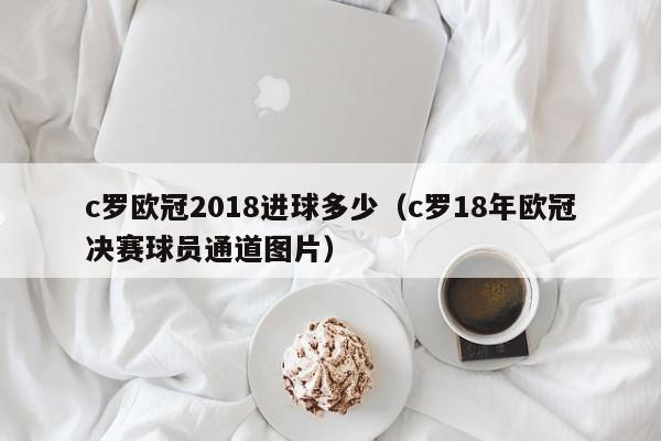 c罗欧冠2018进球多少（c罗18年欧冠决赛球员通道图片）