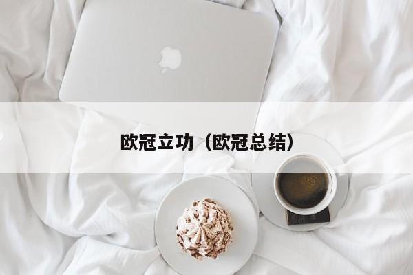欧冠立功（欧冠总结）