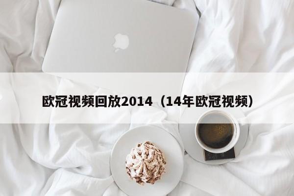 欧冠视频回放2014（14年欧冠视频）