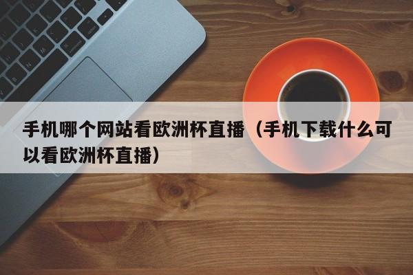 手机哪个网站看欧洲杯直播（手机下载什么可以看欧洲杯直播）