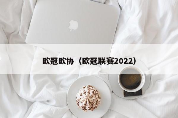 欧冠欧协（欧冠联赛2022）