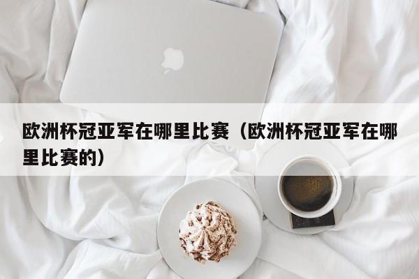 欧洲杯冠亚军在哪里比赛（欧洲杯冠亚军在哪里比赛的）