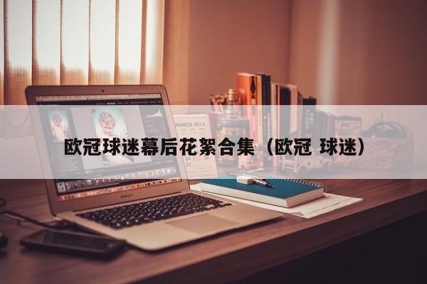 欧冠球迷幕后花絮合集（欧冠 球迷）