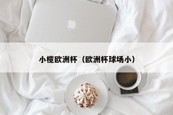 小榄欧洲杯（欧洲杯球场小）