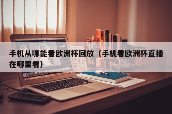 手机从哪能看欧洲杯回放（手机看欧洲杯直播在哪里看）