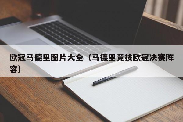 欧冠马德里图片大全（马德里竞技欧冠决赛阵容）