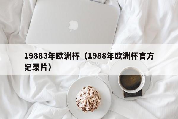 19883年欧洲杯（1988年欧洲杯官方纪录片）