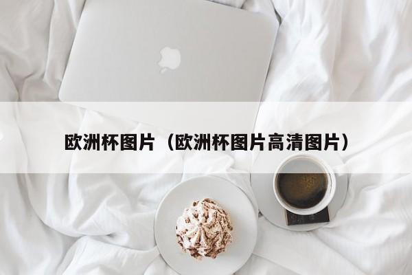 欧洲杯图片（欧洲杯图片高清图片）