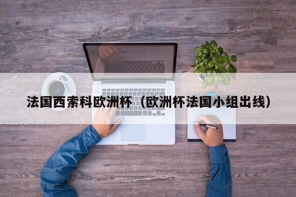 法国西索科欧洲杯（欧洲杯法国小组出线）