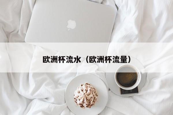 欧洲杯流水（欧洲杯流量）