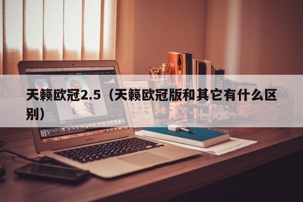 天籁欧冠2.5（天籁欧冠版和其它有什么区别）