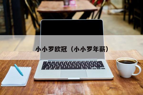 小小罗欧冠（小小罗年薪）
