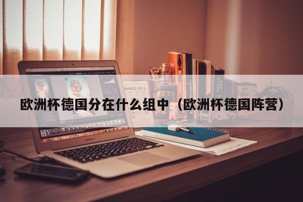 欧洲杯德国分在什么组中（欧洲杯德国阵营）