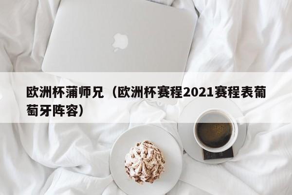 欧洲杯蒲师兄（欧洲杯赛程2021赛程表葡萄牙阵容）
