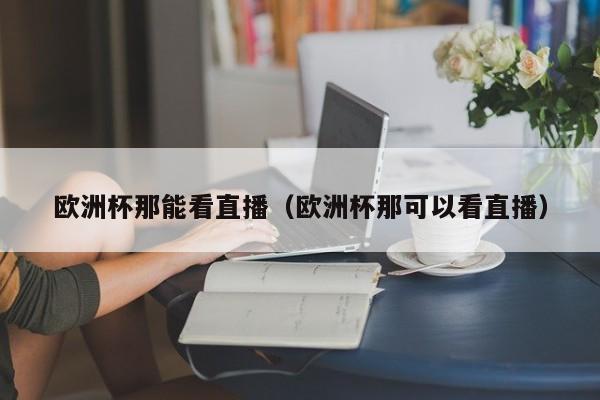 欧洲杯那能看直播（欧洲杯那可以看直播）