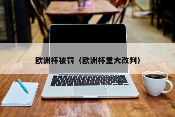 欧洲杯被罚（欧洲杯重大改判）