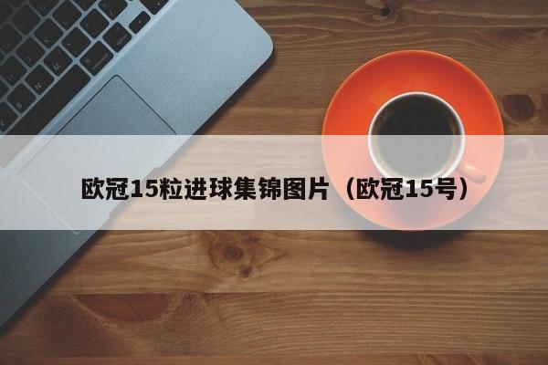 欧冠15粒进球集锦图片（欧冠15号）